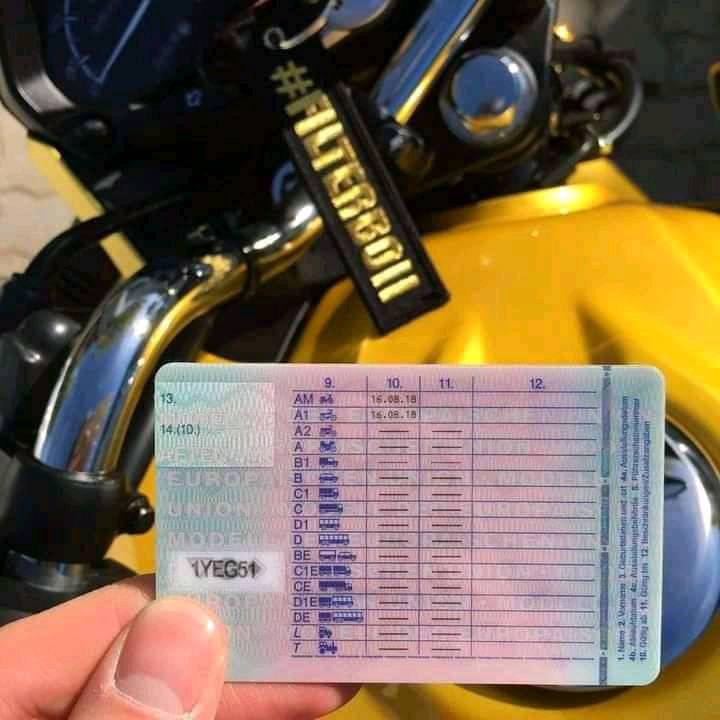 führerschein kosten